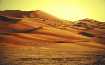 Sa mạc Sahara sẽ xanh tươi trở lại?
