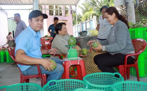 Tiền Giang phát huy tiềm năng, lợi thế trong nông nghiệp