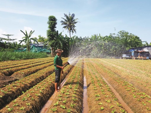 Tăng cường chính sách giảm nghèo bền vững