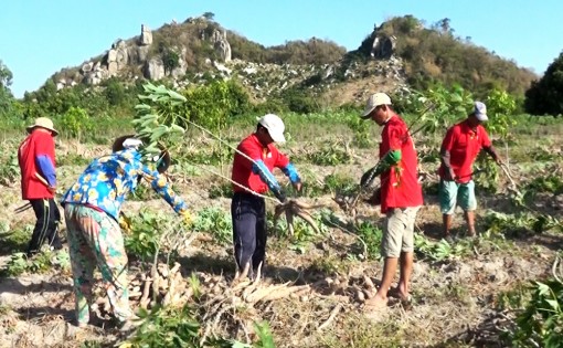 An Giang: Tích cực hỗ trợ nông dân ở miền núi