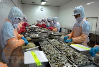 Khẳng định sự minh bạch của doanh nghiệp xuất khẩu Việt Nam
