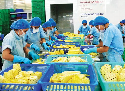 Liên kết quảng bá sản phẩm An Giang