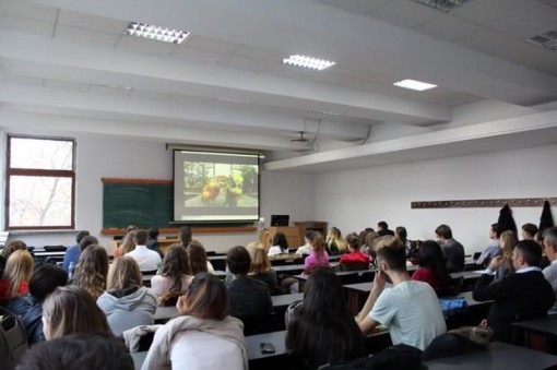 Hợp tác kinh tế, thương mại Việt Nam-Romania trên đà tăng trưởng