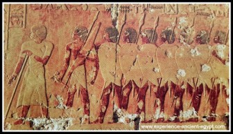 Bí ẩn ngôi mộ tập thể chứa 60 xác ướp chiến binh Ai Cập cổ đại