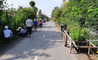 “Tuyến đường hoa”  ở xã nông thôn mới Tây Phú
