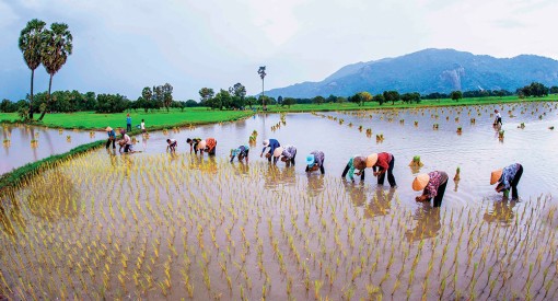 Nỗ lực giảm nghèo trong đồng bào dân tộc thiểu số Khmer
