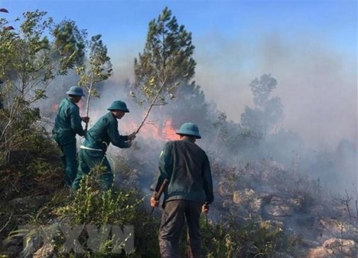 Cảnh báo nguy cơ cháy rừng cấp 'cực kỳ nguy hiểm' ở nhiều địa phương