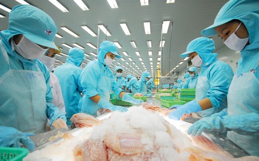 Khai thác thị trường trọng điểm trong CPTPP