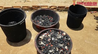 Vụ nhuộm than pin vào hồ tiêu: Xin giảm án vì không biết độc hại