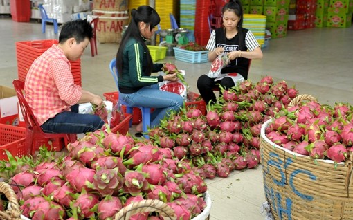 Bến Tre tăng cường xây dựng, chỉnh đốn Đảng