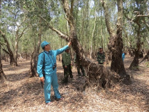 Nắng nóng tiếp tục mở rộng ở Bắc Bộ, có nơi trên 39 độ C