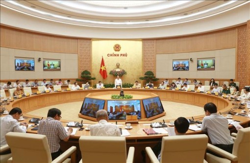 Không có chuyện chủ doanh nghiệp lại không biết lái xe sử dụng rượu bia, ma túy