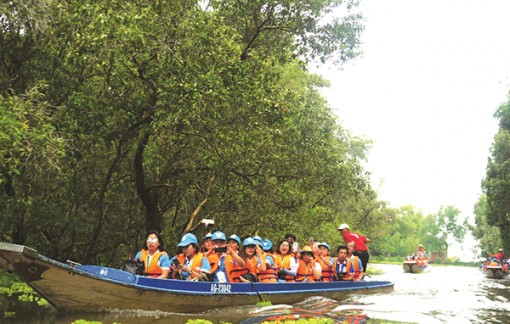 Hào hứng cùng du thuyền ở Trà Sư