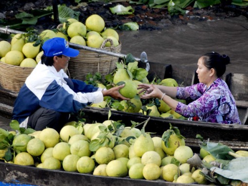 ĐBSCL cần kiến nghị Chính phủ có chính sách hỗ trợ xuất khẩu nông sản