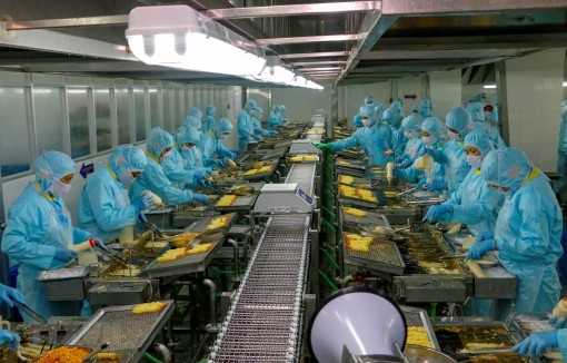 Cần Thơ tận dụng lợi thế nguồn nhân lực để phát triển kinh tế