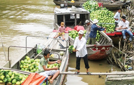 Cần Thơ: Ðột phá xây dựng vùng nông nghiệp đặc trưng, quy mô lớn