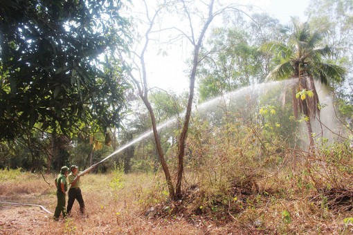 Không chủ quan với “cơn mưa vàng”