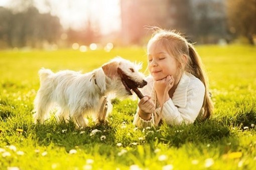 Năm lợi ích khi cho trẻ nuôi thú cưng