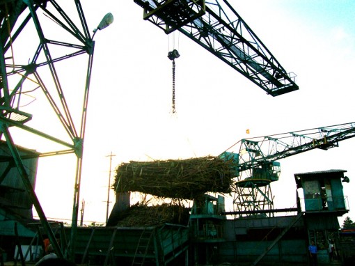 Đồng bằng sông Cửu Long thu hút trên 789 triệu USD vốn đầu tư trực tiếp nước ngoài