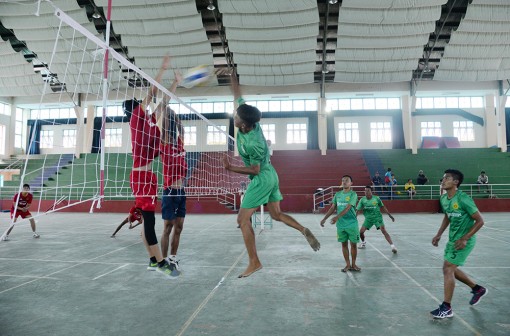 Thể thao phong trào phát triển đa dạng