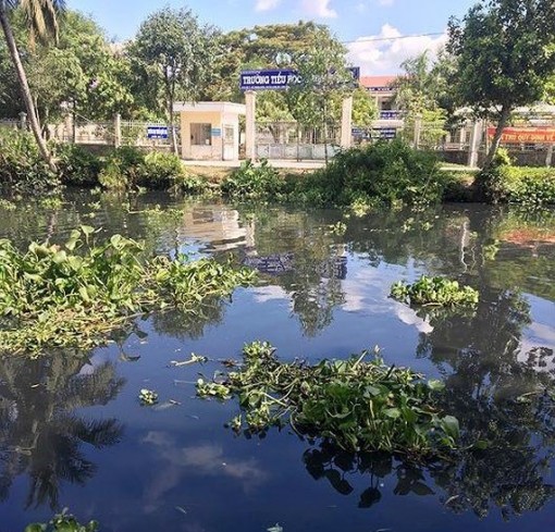 Hậu Giang: Hơn 6.000 hộ dân chờ nước sạch do nước sông ô nhiễm nghiêm trọng