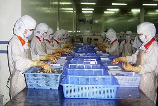 Hậu Giang nỗ lực nâng cao chỉ số PCI