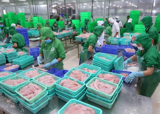Giữ vững vị thế sản phẩm xuất khẩu chủ lực cho cá tra Việt Nam