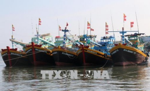 Cà Mau: Đẩy nhanh tiến độ lắp đặt thiết bị giám sát hành trình cho tàu cá