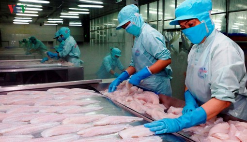Cá tra Việt Nam bị áp thuế chống bán phá giá tại Mỹ