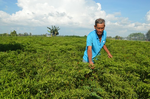 Tăng cường hỗ trợ hội viên, nông dân