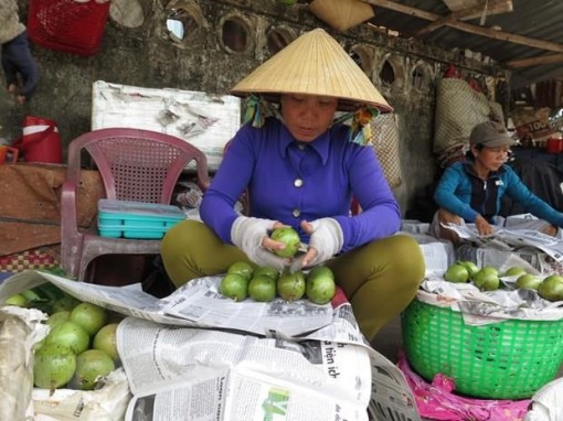 Xúc tiến thương mại giúp đưa trái cây Tiền Giang hội nhập