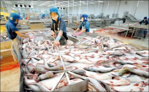 Thủy sản Việt Nam: Làm gì để không bị “thẻ đỏ“?