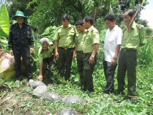 Thả động vật quý hiếm về với thiên nhiên