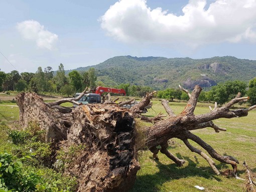 Nông dân Châu Lăng thi đua sản xuất - kinh doanh giỏi