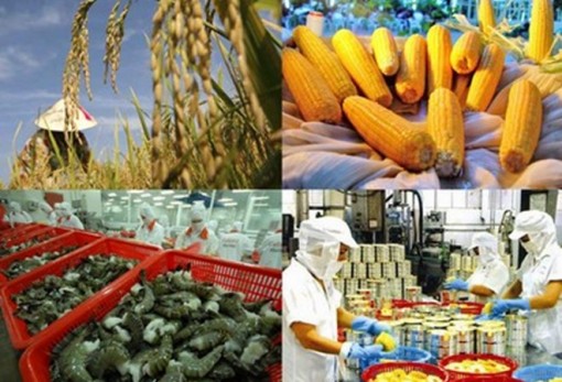 Xuất khẩu của khối doanh nghiệp trong nước tiếp tục là điểm sáng