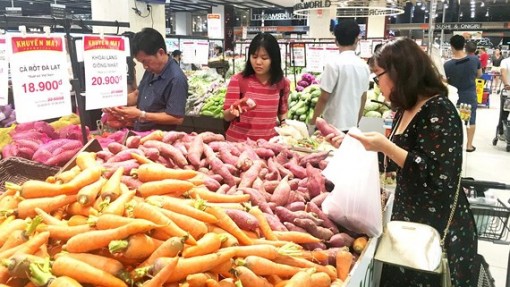 Điều chỉnh hoạt động phù hợp với nhu cầu xuất khẩu