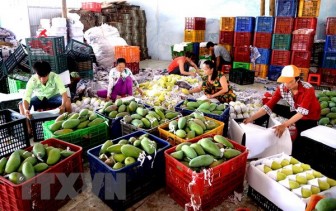 Xuất khẩu rau quả có sự tăng trưởng trở lại