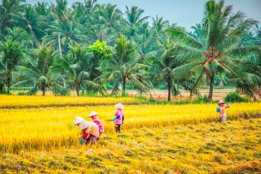 Xem Bến Tre trưng bày, giới thiệu sản vật tại Sài Gòn