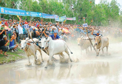 Phát triển du lịch vùng Bảy Núi