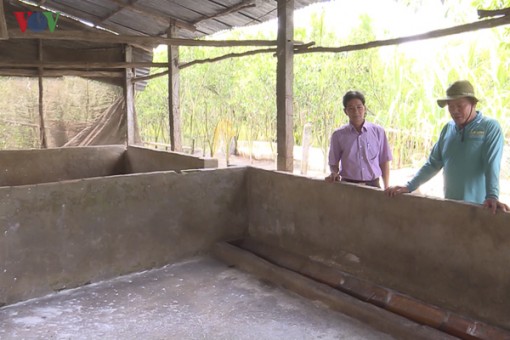 Địa phương đầu tiên ở ĐBSCL xuất hiện dịch tả lợn châu Phi