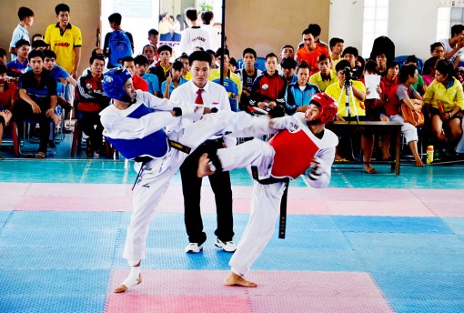 Taekwondo An Giang từng bước khẳng định sức mạnh