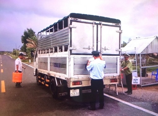 Cà Mau siết chặt lợn nhập tỉnh