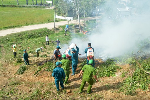 Tịnh Biên diễn tập chữa cháy rừng