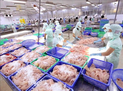 Doanh nghiệp dự báo tình hình sản xuất kinh doanh quý II/2019 tốt lên