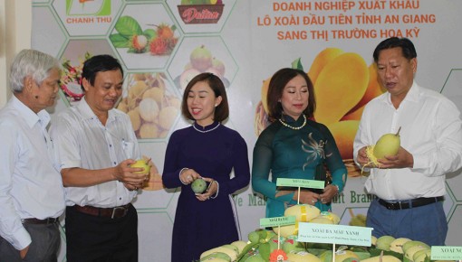 Xoài An Giang tự tin “bước vào” thị trường Mỹ