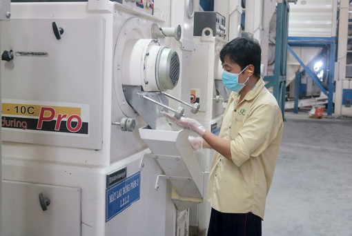 Chú trọng công tác an toàn vệ sinh lao động