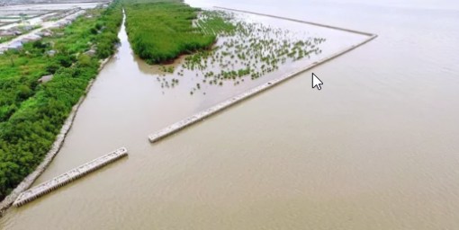 Để nâng cao hiệu quả dự án nâng cấp đê biển tây Cà Mau