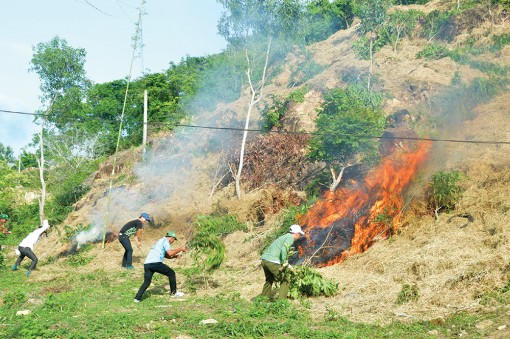 Chuyện những người “giữ rừng”