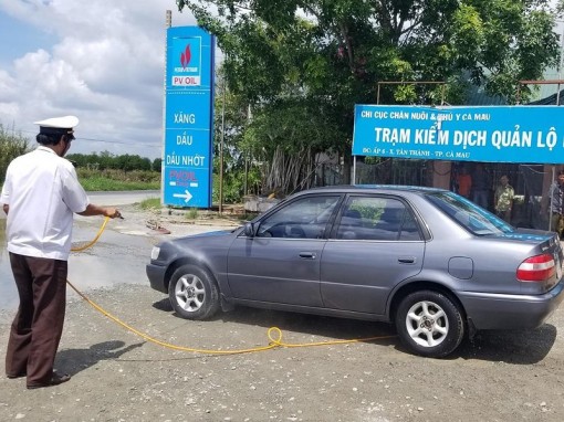 Khử trùng ô tô vào Cà Mau phòng dịch tả heo châu Phi