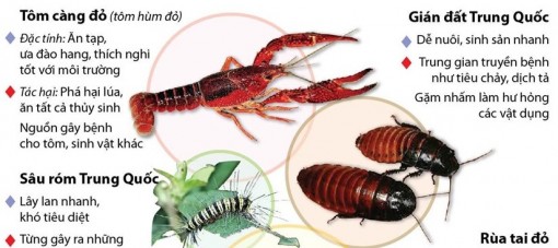 Những loài động vật ngoại lai xâm hại nguy hiểm tại Việt Nam
